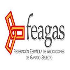 feagas-cuadrado-240x240